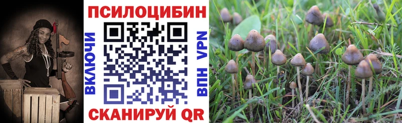 Купить где  Кубинка  Псилоцибиновые грибы ЛСД 